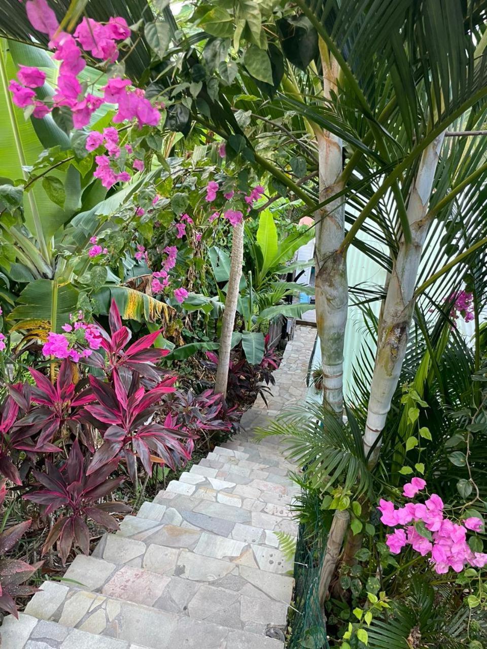 La Casita Ilohe Villa Riviere-Salee Екстериор снимка